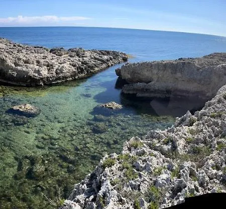 Casa Lialara Mare Lejlighed *