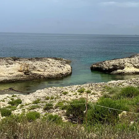 Casa Lialara Mare * Augusta